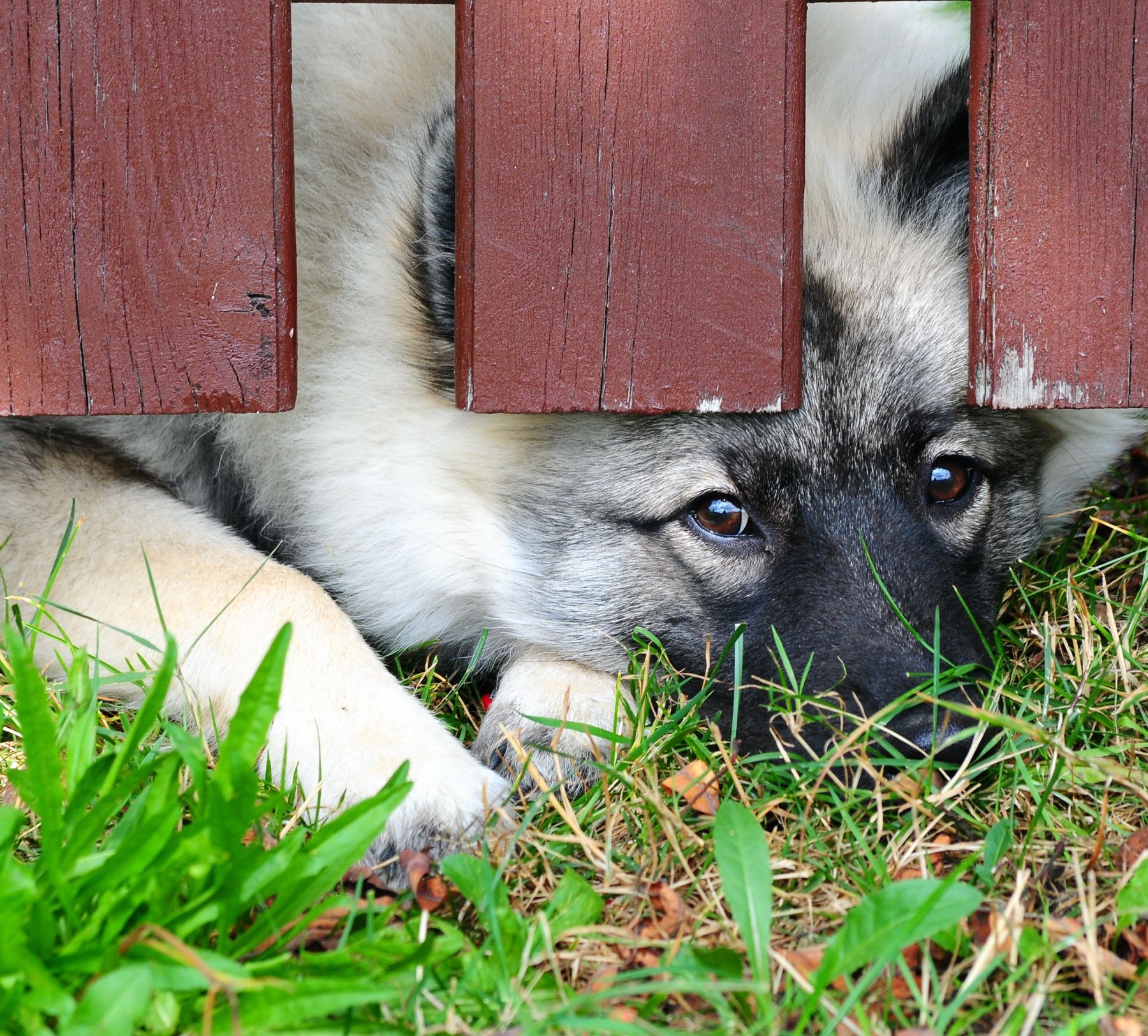 Editorial: July 2, 2021